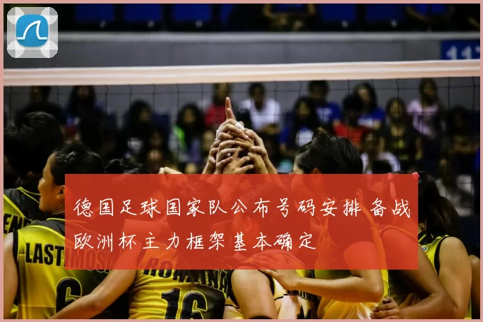 德国足球国家队公布号码安排 备战欧洲杯主力框架基本确定