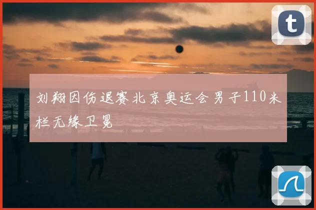 刘翔因伤退赛北京奥运会男子110米栏无缘卫冕