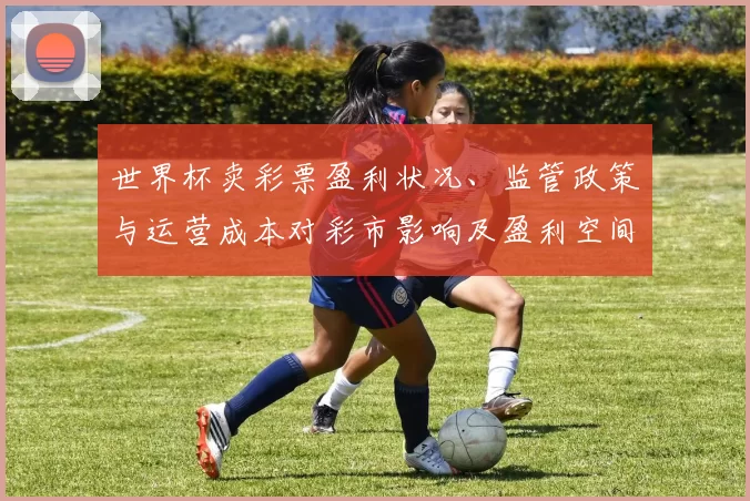 世界杯卖彩票盈利状况、监管政策与运营成本对彩市影响及盈利空间分析